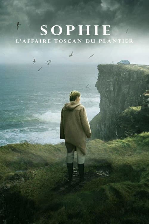 Affiche de Sophie : L'affaire Toscan du Plantier