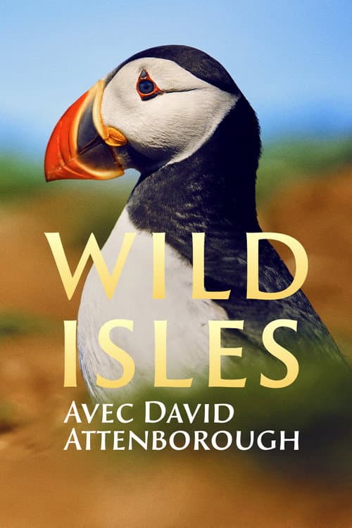 Affiche de Wild Isles