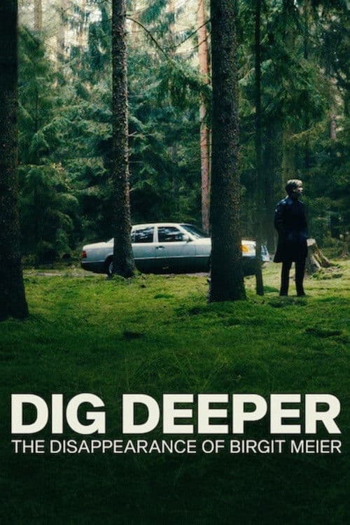 Affiche de Une vérité enfouie : La disparition de Birgit Meier