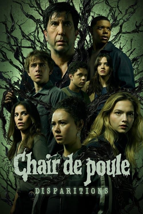 Affiche de Chair de poule : disparitions