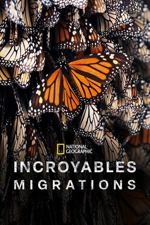 Affiche de Incroyables migrations