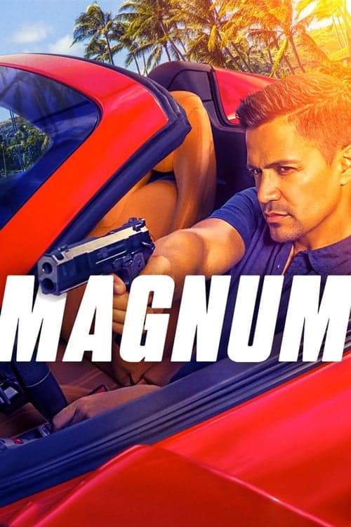 Affiche de Magnum