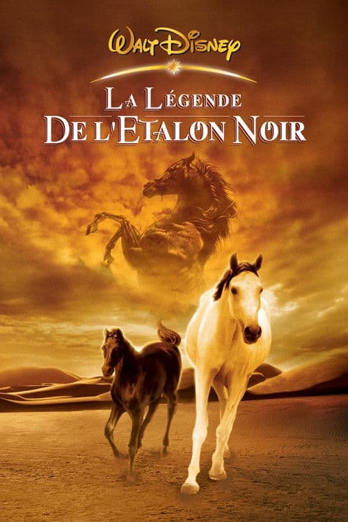 Affiche de La légende de l'étalon noir