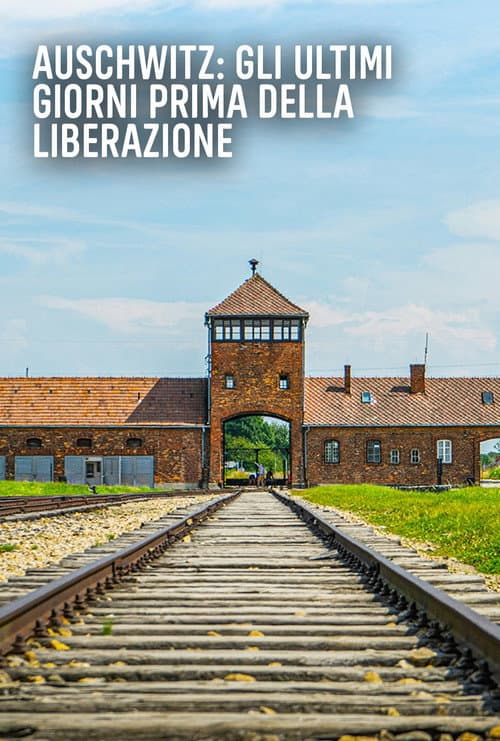 Affiche de Auschwitz: Countdown to Liberation
