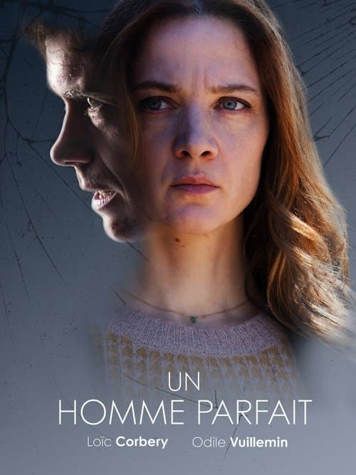 Affiche de Un homme parfait