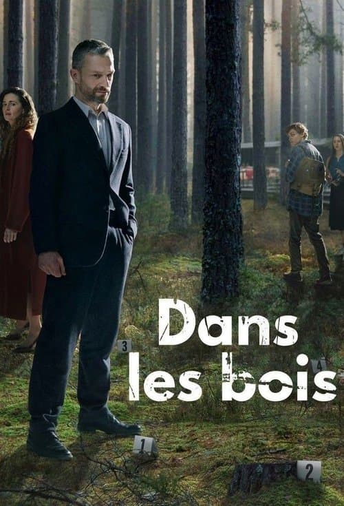 Affiche de Dans les bois