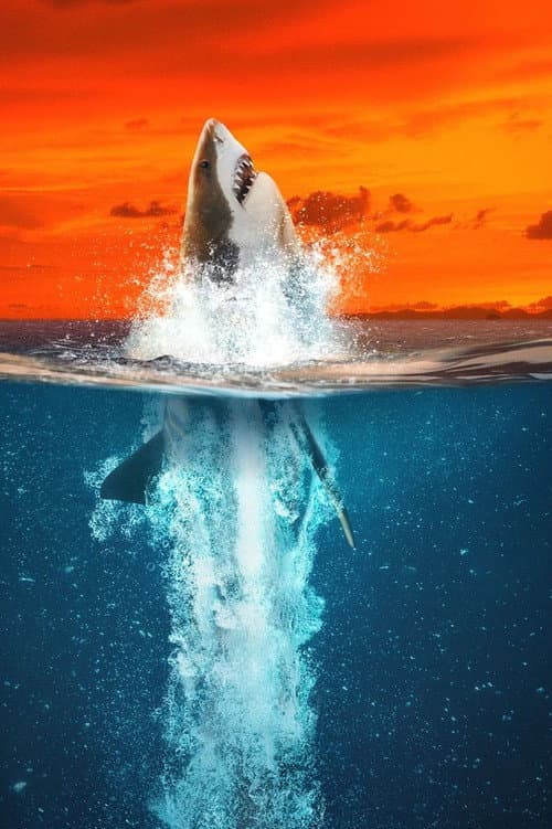 Affiche de Air Jaws : Going for Gold