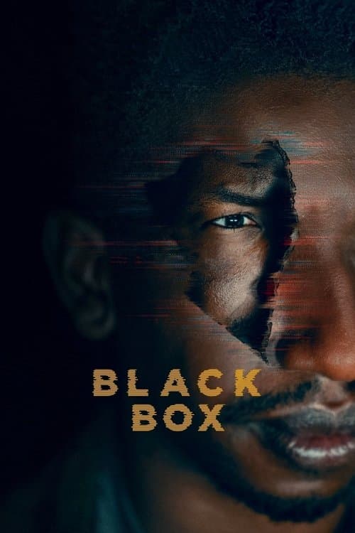 Affiche de La Black Box