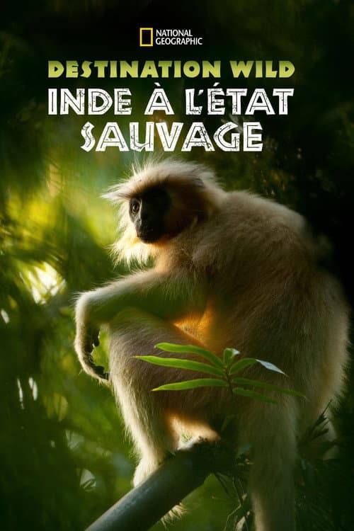 Affiche de Destination Wild : L'Inde à l'état sauvage