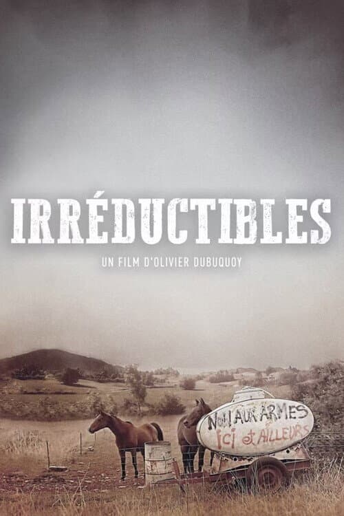 Affiche de Irréductibles
