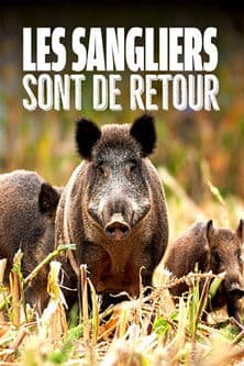 Affiche de Les sangliers sont de retour