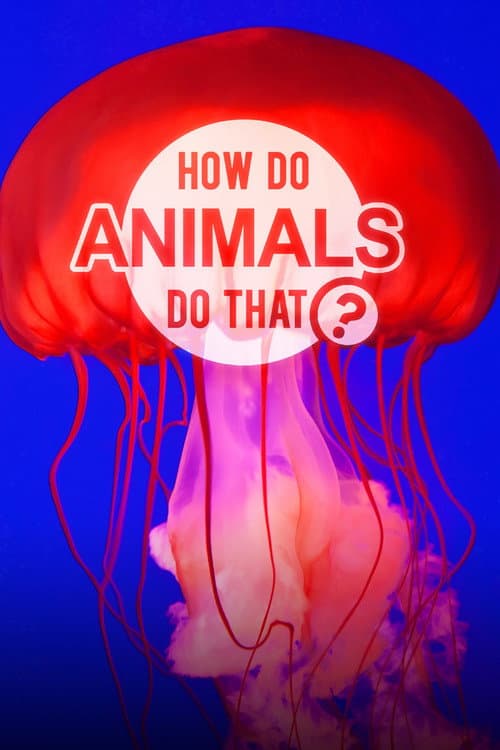 Affiche de Comment les animaux font-ils cela ?