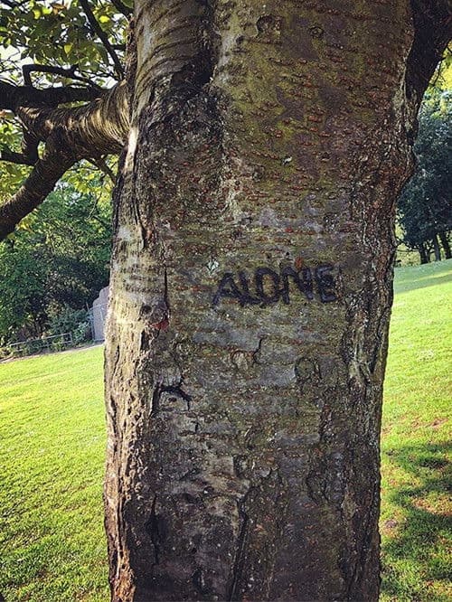Affiche de Alone