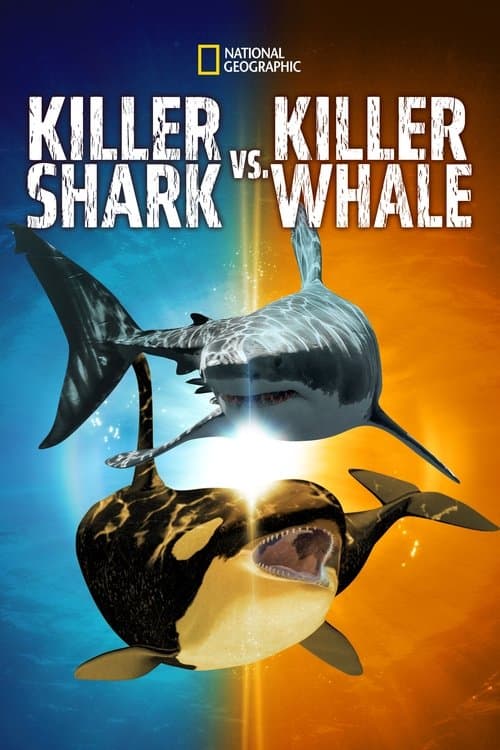 Affiche de Killer Shark Vs. Killer Whale