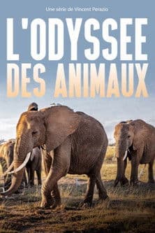 Affiche de L’Odyssée des animaux