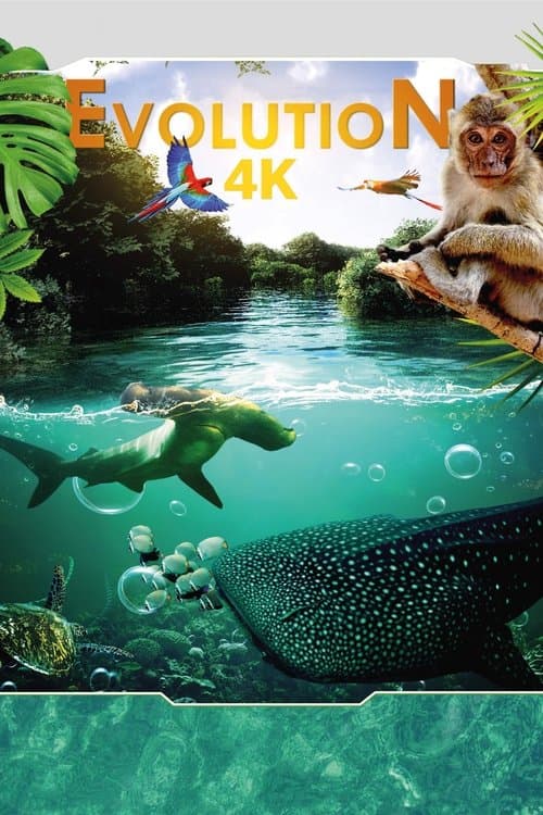 Affiche de Evolution