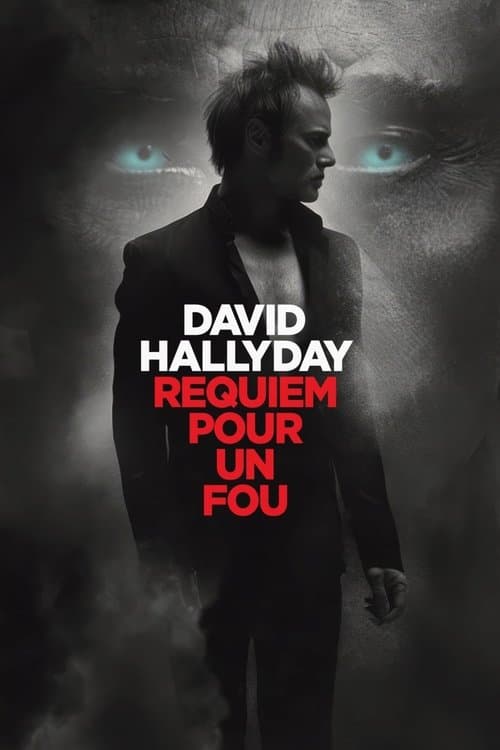 Affiche de David Hallyday, requiem pour un fou