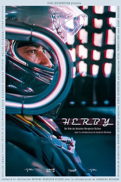 Affiche de Herby : Pilote par nature