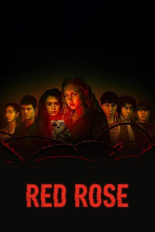 Affiche de Red Rose