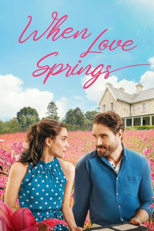 Affiche de Coup de foudre et petits arrangements