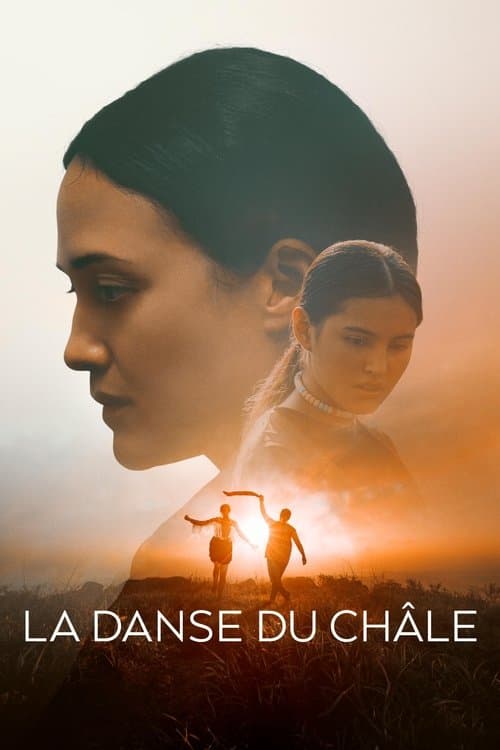 Affiche de Fancy Dance