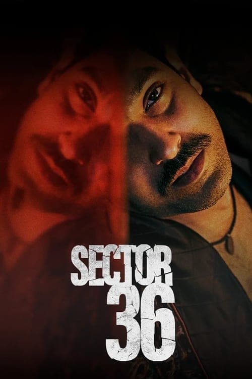 Affiche de Secteur 36