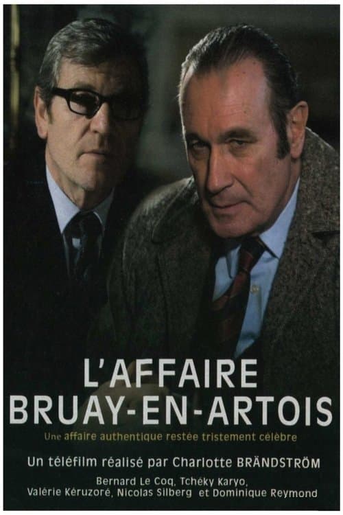 Affiche de L'Affaire Bruay-en-Artois