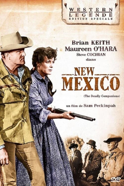 Affiche de New Mexico