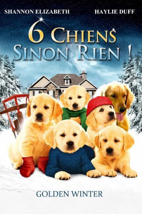 Affiche de Un Noël de rêve