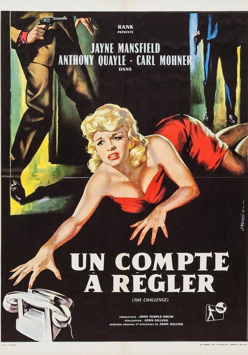Affiche de The Challenge