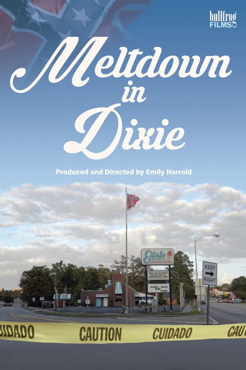 Affiche de Meltdown in Dixie