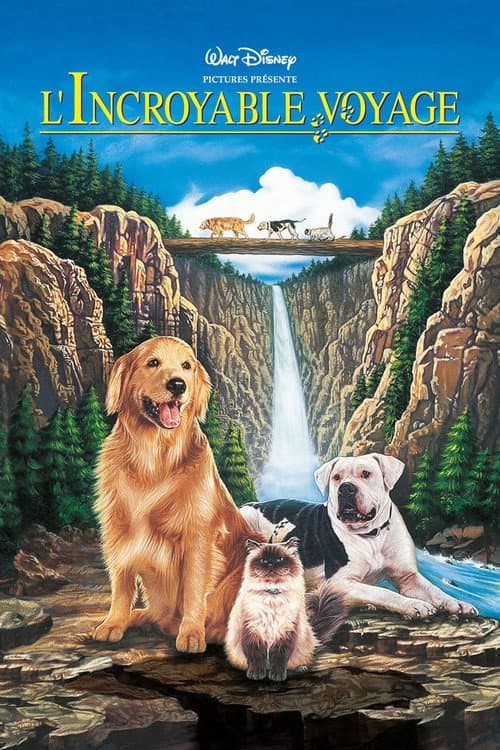 Affiche de L'Incroyable Voyage