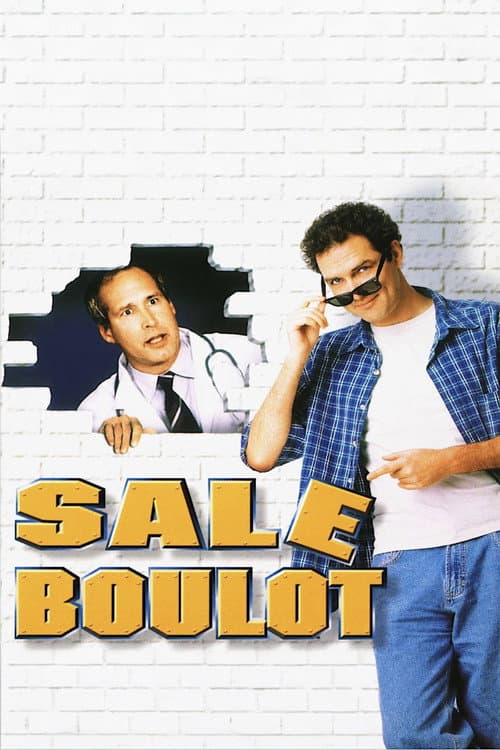 Affiche de Sale Boulot