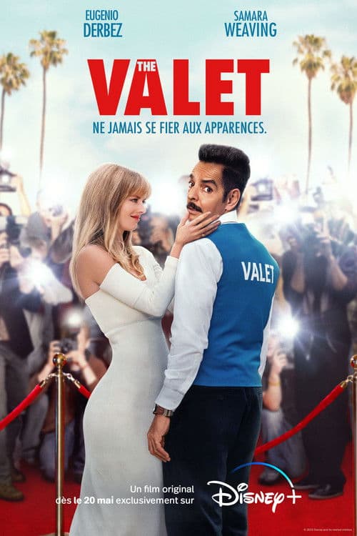Affiche de The Valet