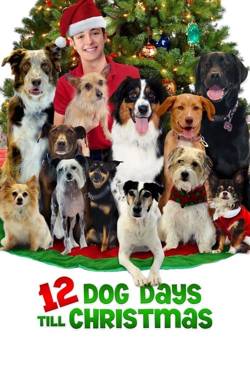 Affiche de Il faut sauver les chiens de Noël
