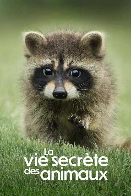 Affiche de La Vie secrète des animaux