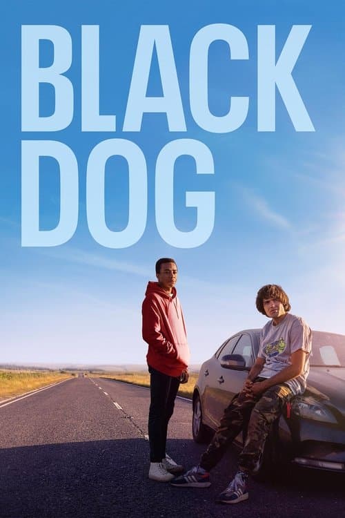 Affiche de Black Dog