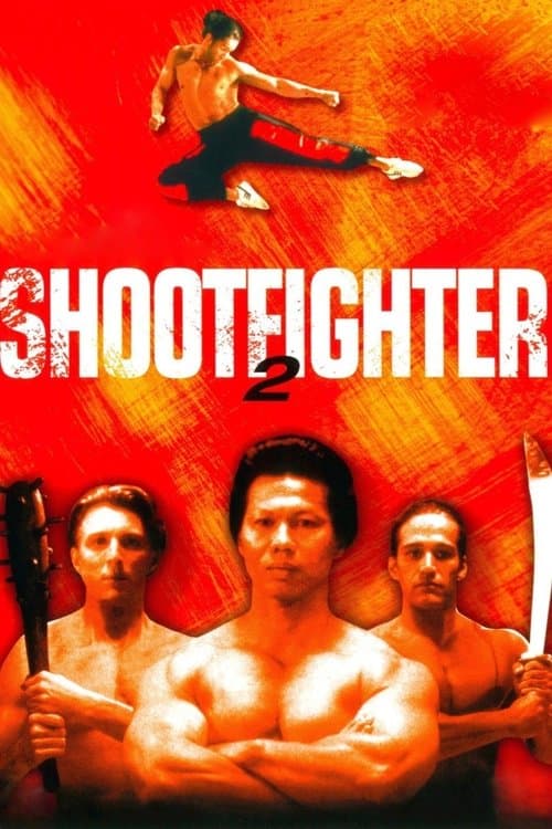 Affiche de Shootfighter 2