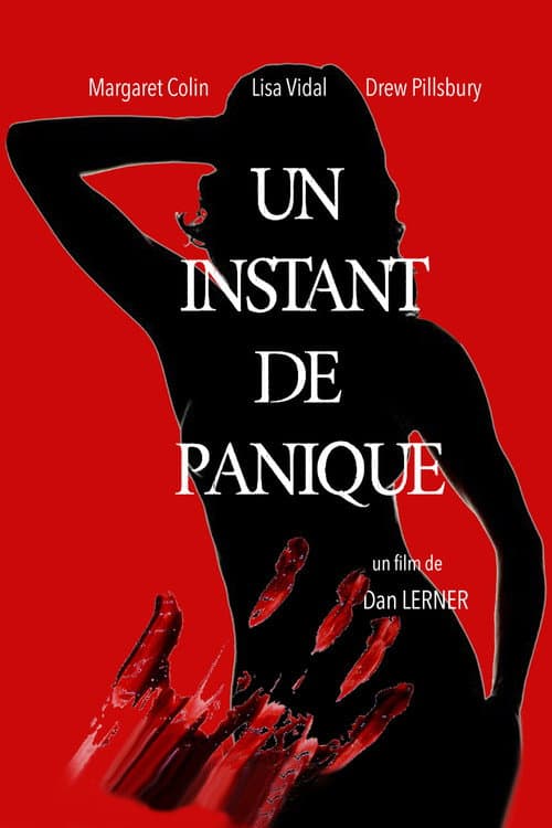 Affiche de Un instant de panique