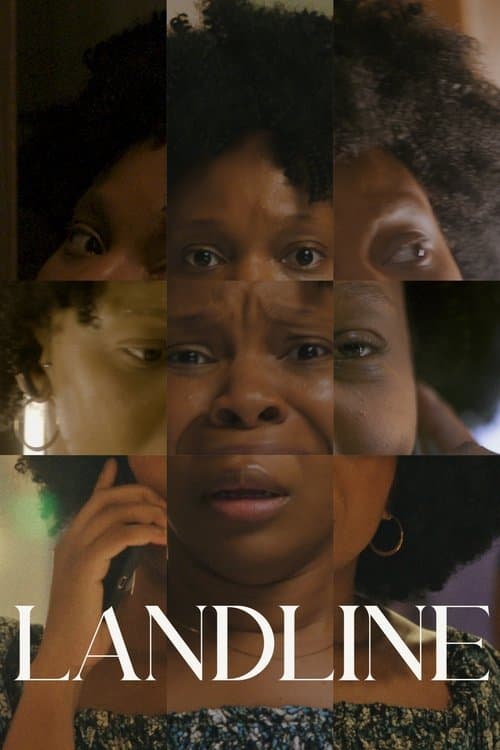Affiche de Landline