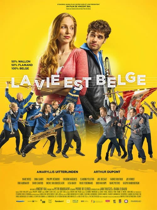 Affiche de La vie est belge
