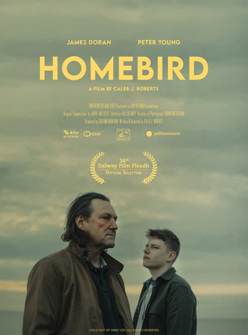 Affiche de Homebird