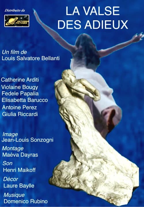 Affiche de La valse des adieux