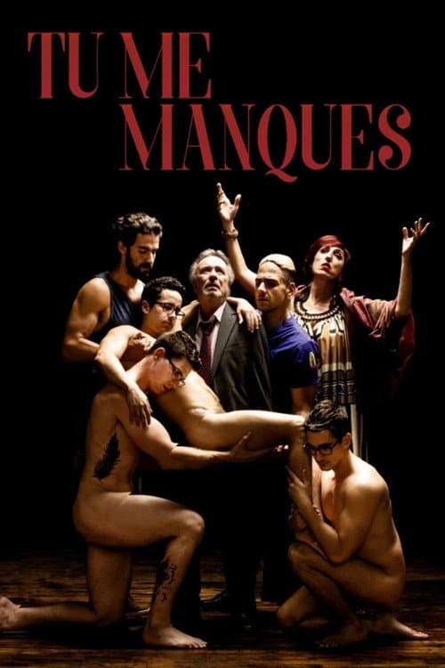 Affiche de Tu me manques