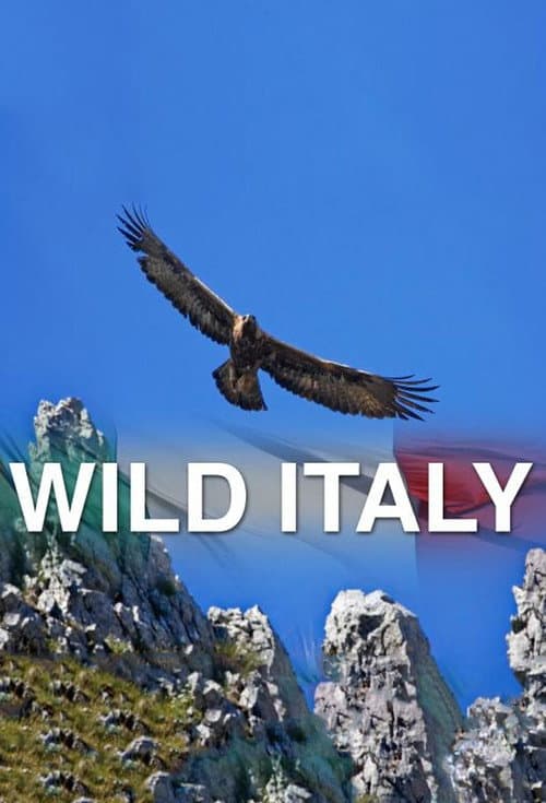 Affiche de Wild Italy