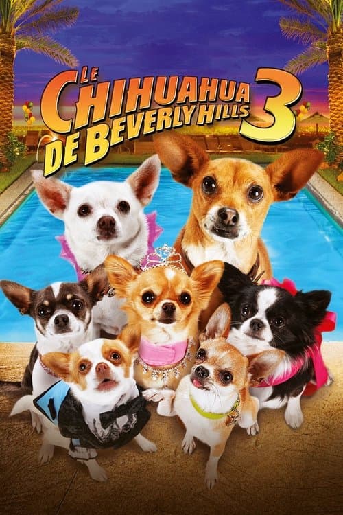 Affiche de Le Chihuahua de Beverly Hills 3 : Viva la Fiesta !