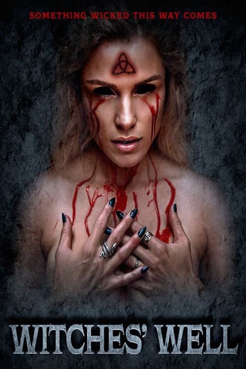 Affiche de Le Puits des Sorcières