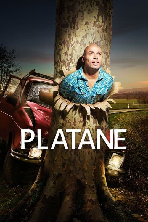 Affiche de Platane