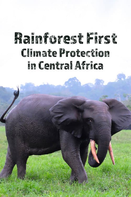 Affiche de Rainforest First: Climate Protection in Central Africa
