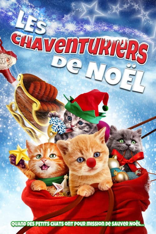 Affiche de Les Chaventuriers de Noël